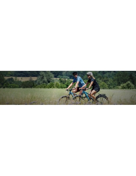 Velo de Ville Electrique